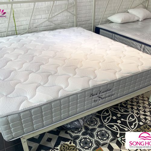 Nơi cung cấp đệm Sông Hồng 2 tấm Back Essential