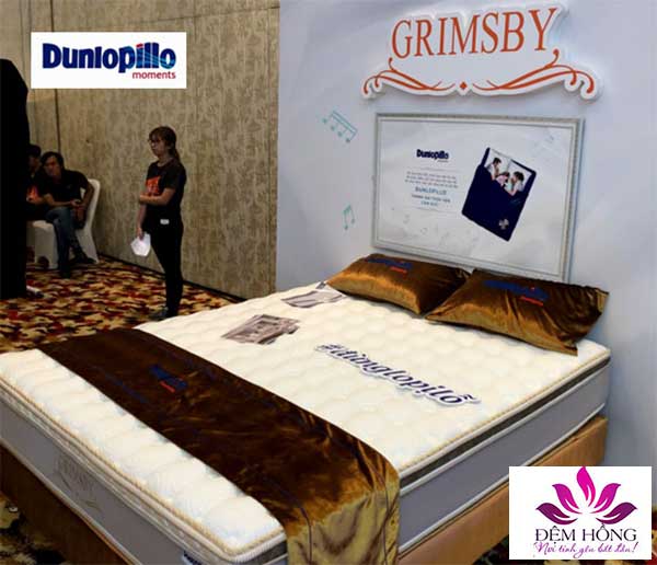 Mẫu đệm Grimsby Dunlopillo chất lượng cao Châu Âu
