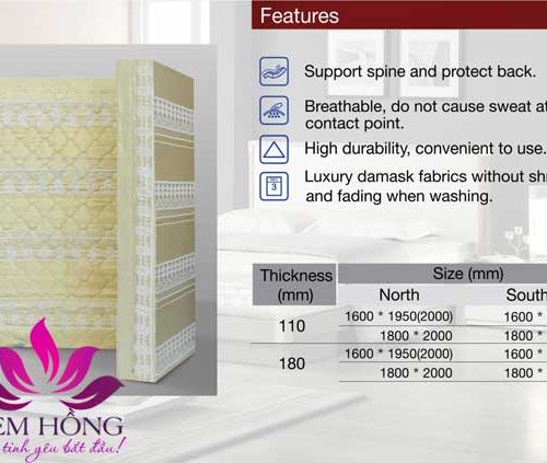 Thông số kỹ thuật nệm bông ép Artemis