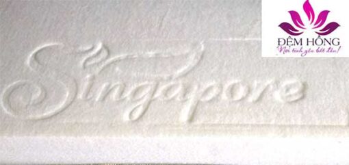 Ruột bông ép với logo Singapore dập chìm bên chính hãng