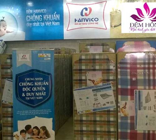 Tổng kho đệm Hanvico bông ép chống khuẩn chính hãng