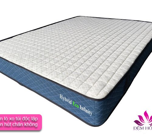 Địa chỉ bán nệm lò xo túi D'louis ECO