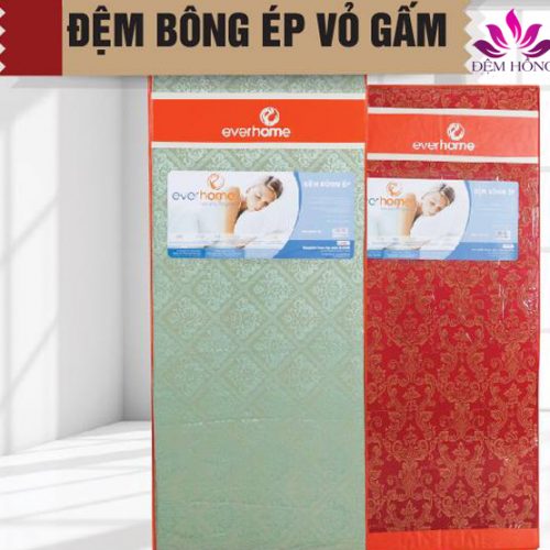 Địa chỉ bán đệm bông ép Everhome vỏ gấm bông nano chống khuẩn