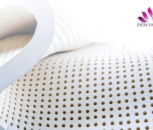 Nệm cao su Everhome Lavender chính hãng