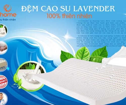 Nệm cao su tự nhiên Everhome Lavender