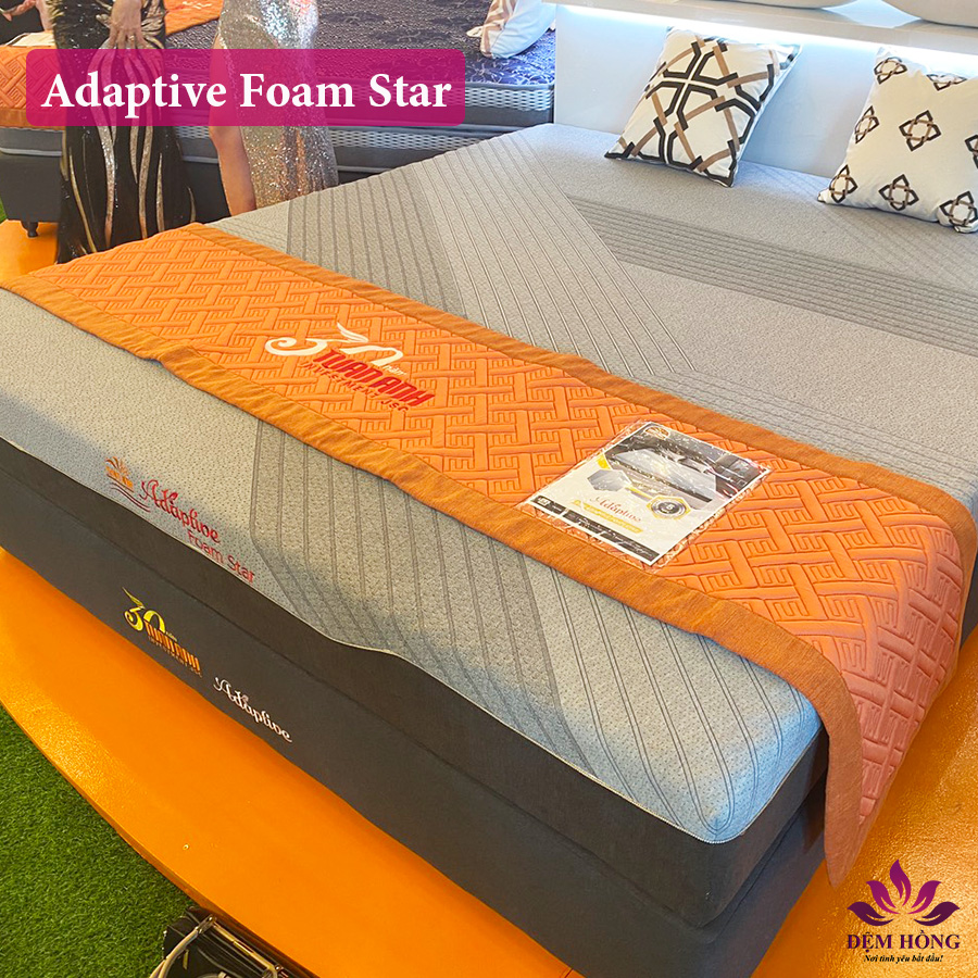 Chuyên cung cấp đệm foam massage Adaptive Star tại Việt Nam