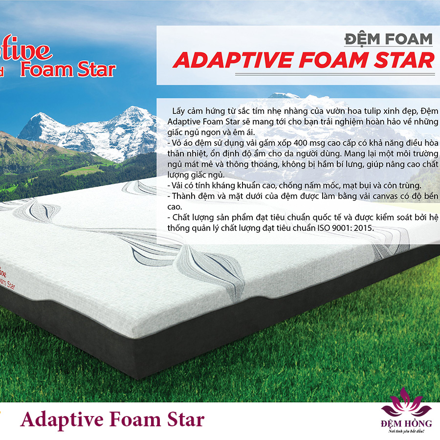 Giới thiệu chi tiết nệm foam Adaptive Star dòng massage