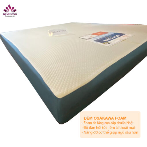 Nệm Foam Osakawa Everhome